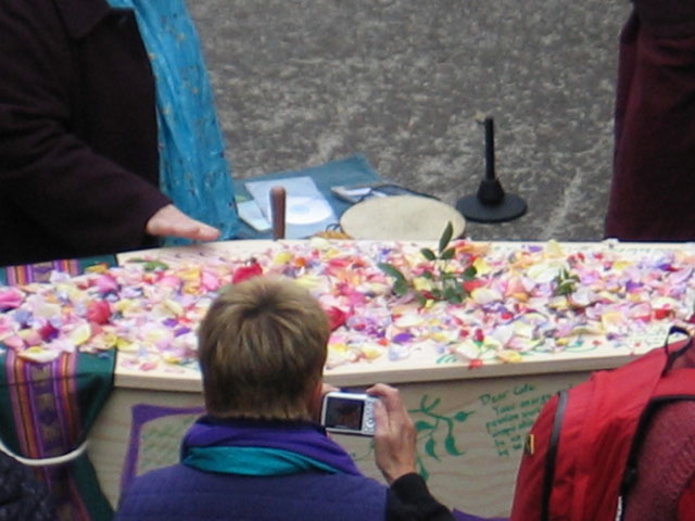very closeup soft focus of top of coffin petals